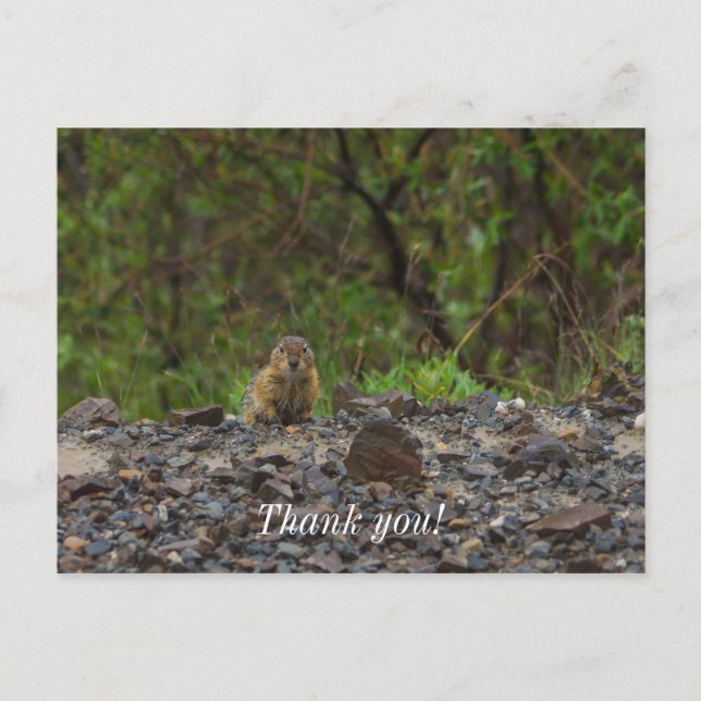 Umbrella Please Postcard (Front)