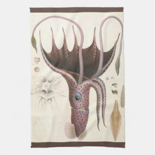 Umbrella Squid, Vintage Marine Life Animals Tea Towel