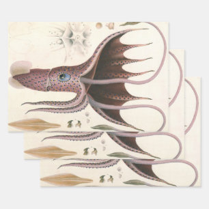Umbrella Squid, Vintage Marine Life Animals Wrapping Paper Sheet