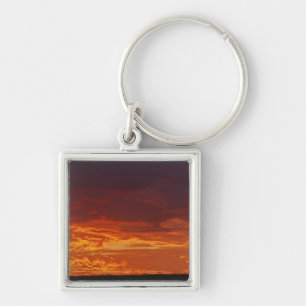 Umbrella Thorn Acacia, Acacia tortilis, 2 Key Ring