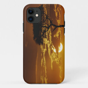 Umbrella Thorn Acacia, Acacia tortilis, iPhone 11 Case
