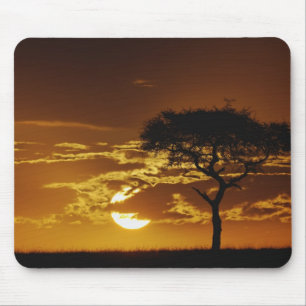 Umbrella Thorn Acacia, Acacia tortilis, Mouse Mat