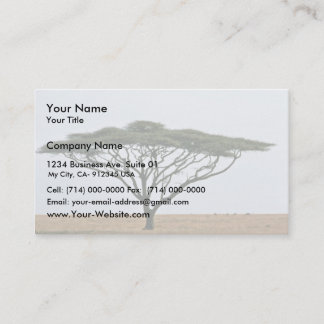 Umbrella Thorn Acacia Tree Business Card