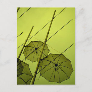umbrellas postcard