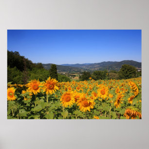 Umbrian Countryside - Italy Print