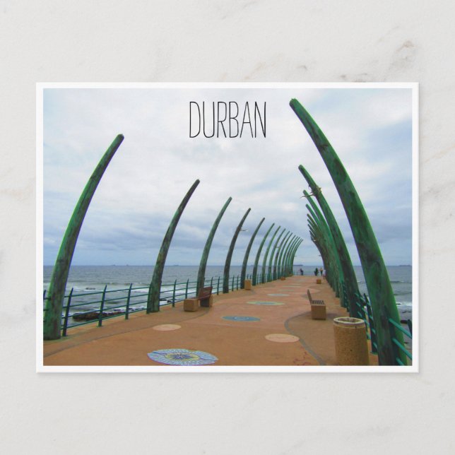 uMhlanga whalebone pier Postcard (Front)
