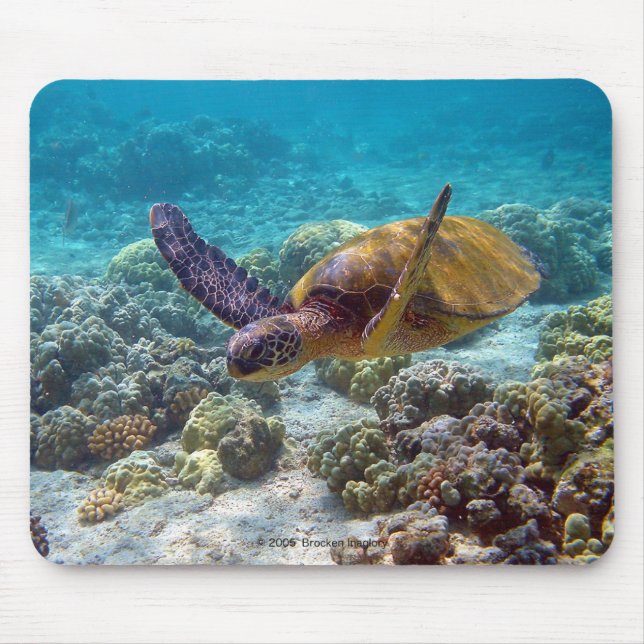 Umigame Mouse Mat (Front)