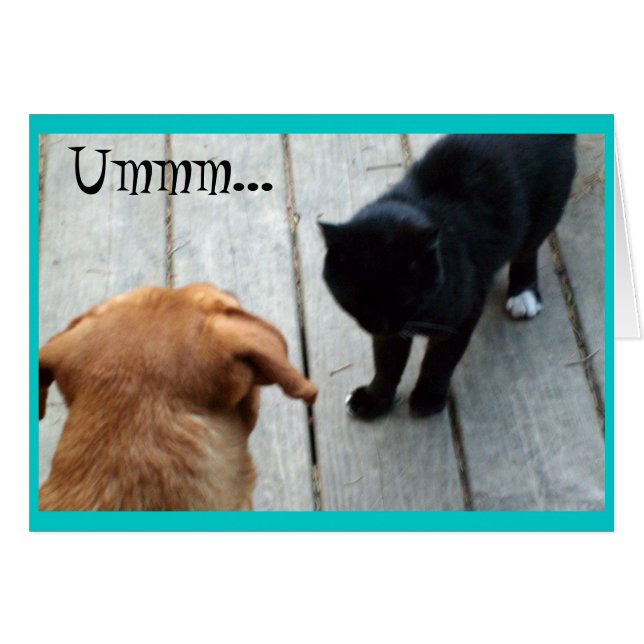 Ummm... (Front Horizontal)