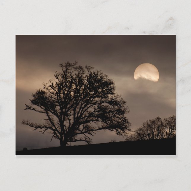 Umpqua Valley Sunrise Postcard (Front)