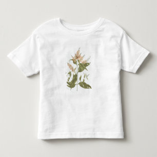 Umtar (Buddleia polystachya) (w/c over graphite on Toddler T-Shirt