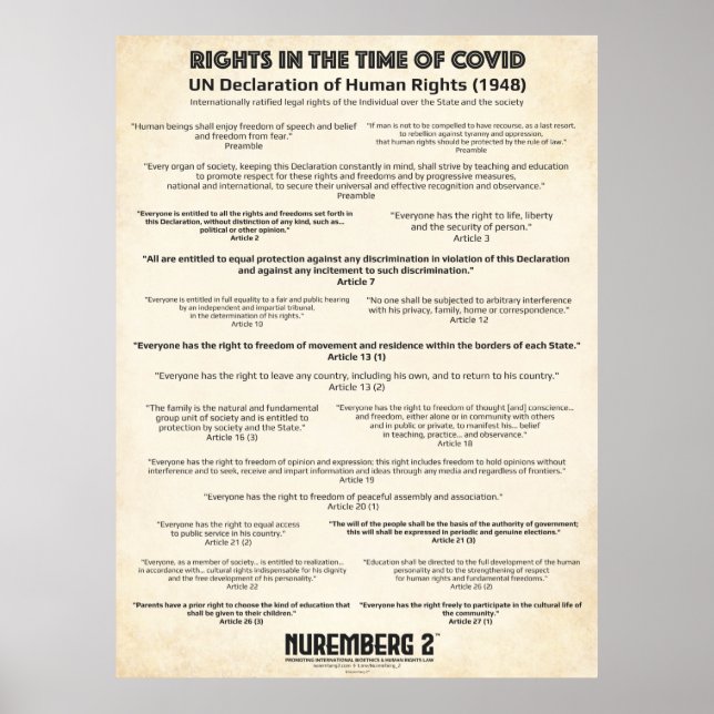 UN Declaration On Human Rights 1948 Large Poster (Front)
