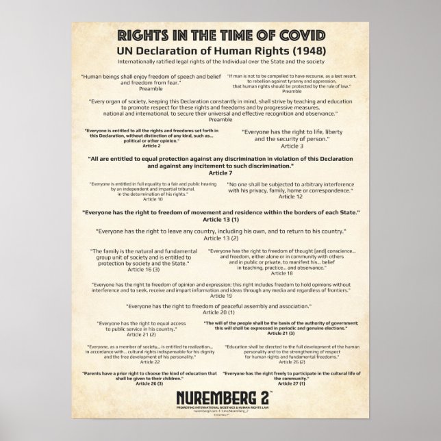 UN Declaration On Human Rights 1948 Small Poster (Front)
