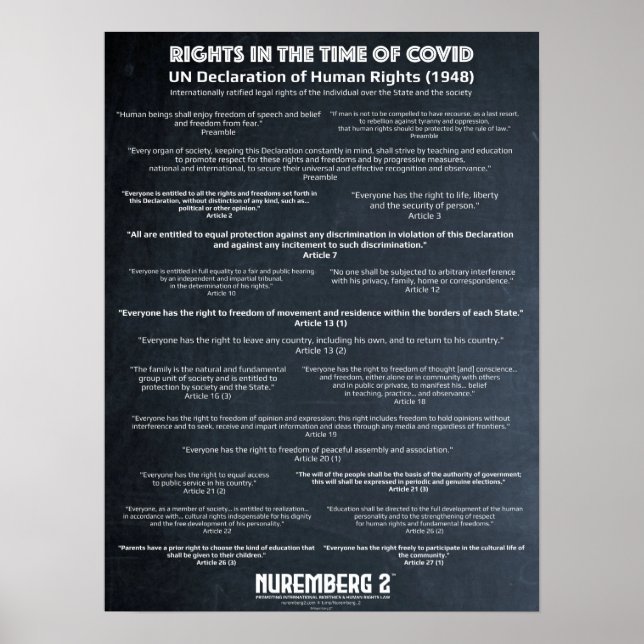 UN Declaration On Human Rights 1948 Small Poster (Front)