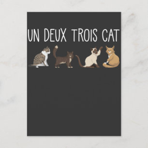 Un Deux Trois Cat French Pun Kitty Humour Pet Love Postcard