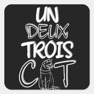 Un Deux Trois Cat Funny French Square Sticker