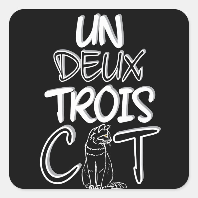 Un Deux Trois Cat Funny French Square Sticker (Front)