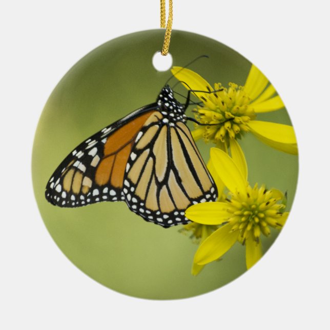 Unattached Purity Ceramic Tree Decoration (Front)