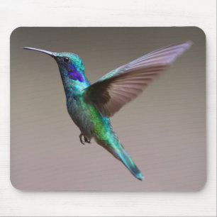 Unbelievably Beautiful and Colourful Hummingbird Mouse Mat