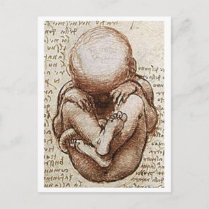 Unborn child postcard