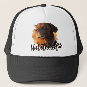 Unbothered Golden Hour Dog – Premium Minimalist  Trucker Hat