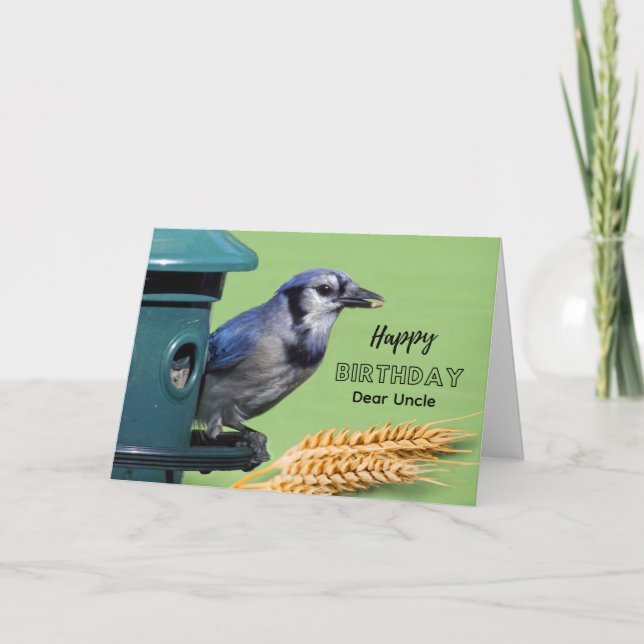 Uncle Birthday with Blue Jay at Feeder Wheat Card (Front)