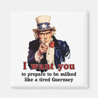 uncle Sam wants you Magnet