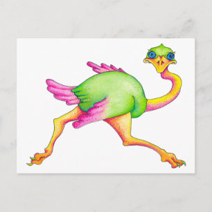 Uncommon Ostrich Postcard