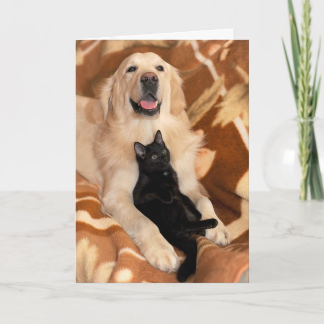 Unconditional Friendship Friends Dog & Cat Card (Front)