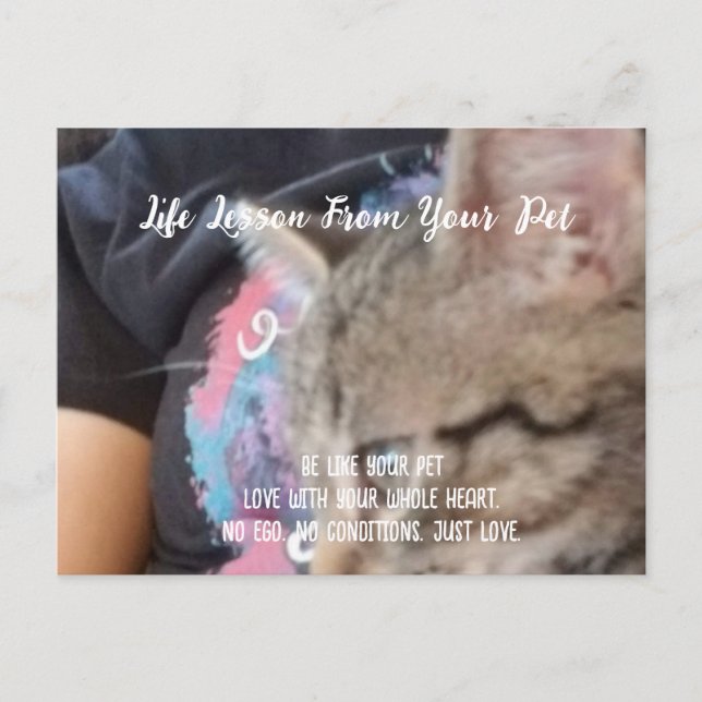 Unconditional Love Life Lesson from the Pet  Holiday Postcard (Front)