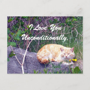 Unconditional Postcard