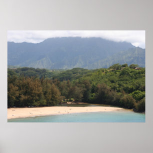 Uncrowded  Beach, Kauai, Hawaii Poster