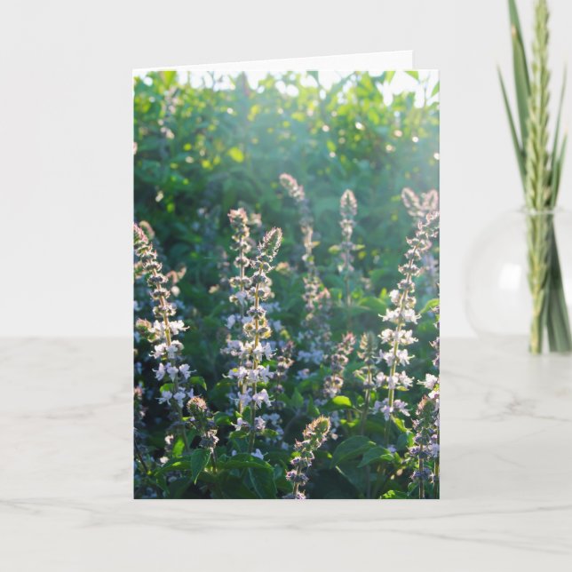 undefined holiday card (Front)