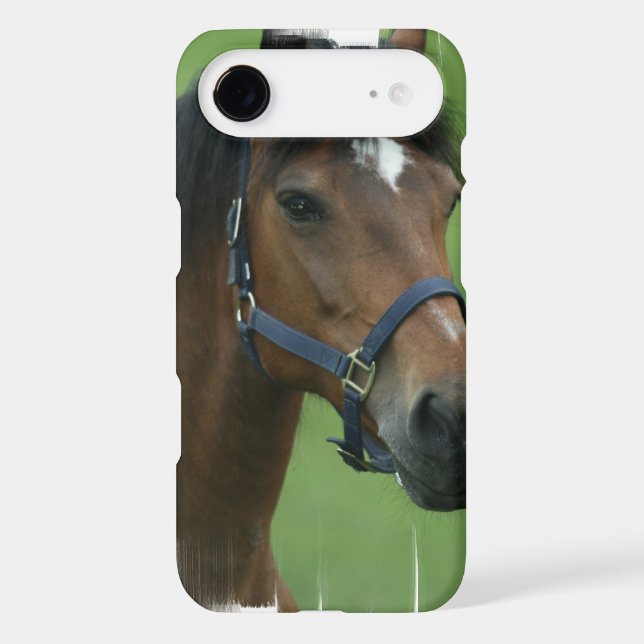 undefined iPod touch case (Back)