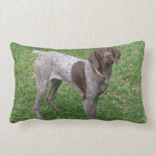 undefined lumbar cushion