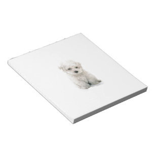 undefined notepad