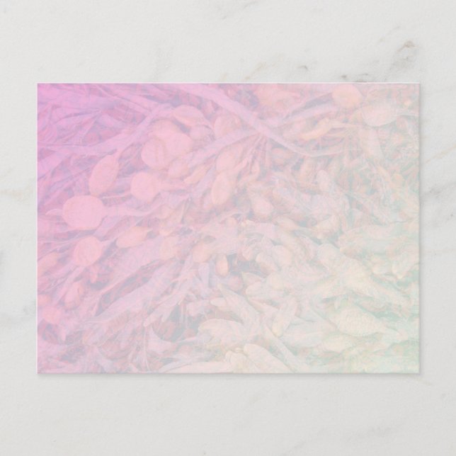 undefined postcard (Front)