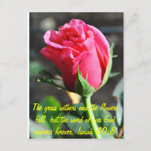 undefined postcard