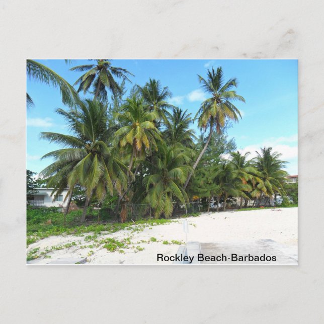 undefined postcard (Front)