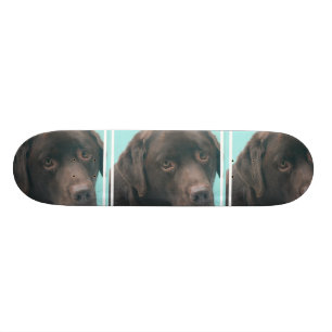 undefined skateboard
