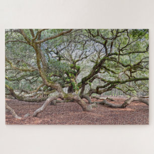 Under Angel Oak, South Carolina Jigsaw Puzzle