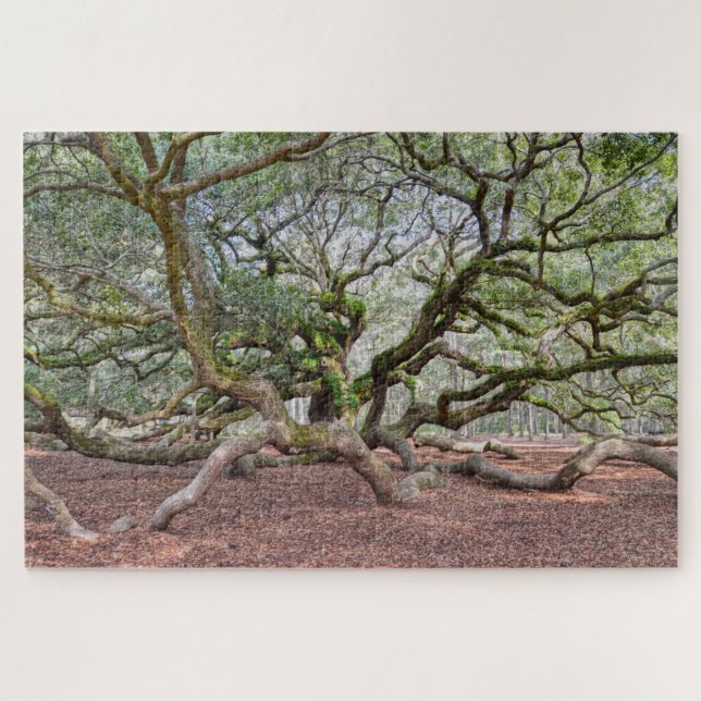 Under Angel Oak, South Carolina Jigsaw Puzzle (Horizontal)
