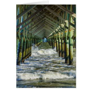 Under Folly Beach Pier