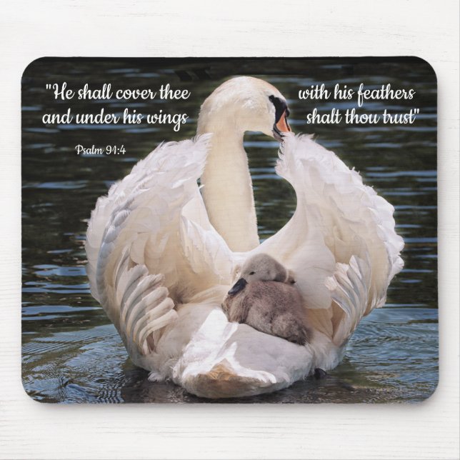 Under His Wings swan carrying cygnet Poster Mouse Mat (Front)