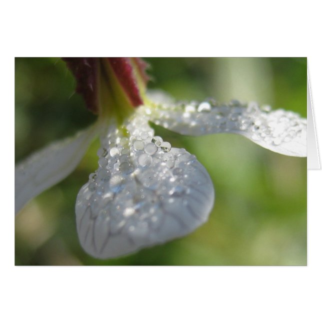 Under My Umbrella Card (Front Horizontal)