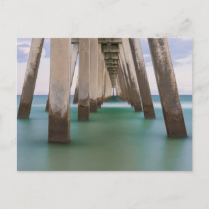 Under Navarre Beach Pier Blank Post Card