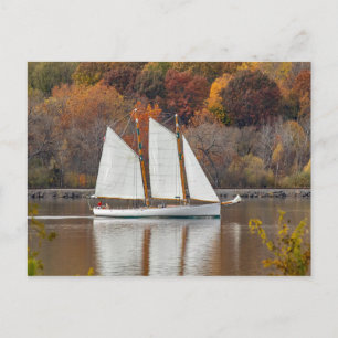 Under Sail Postcard