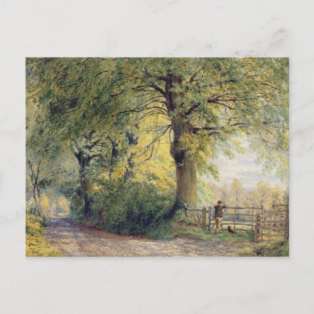Under the Beeches Postcard (Front)