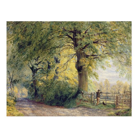 Under the Beeches Postcard