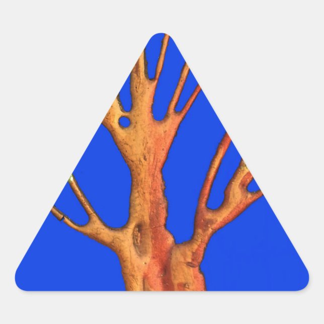 Under the Blue Sky: The Acacia Tree Collection Triangle Sticker (Front)