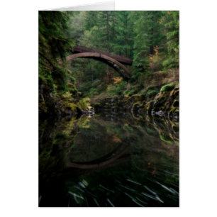 Under the Bridge